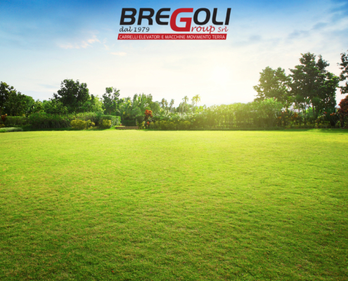 Taglio del prato perfetto, i consigli